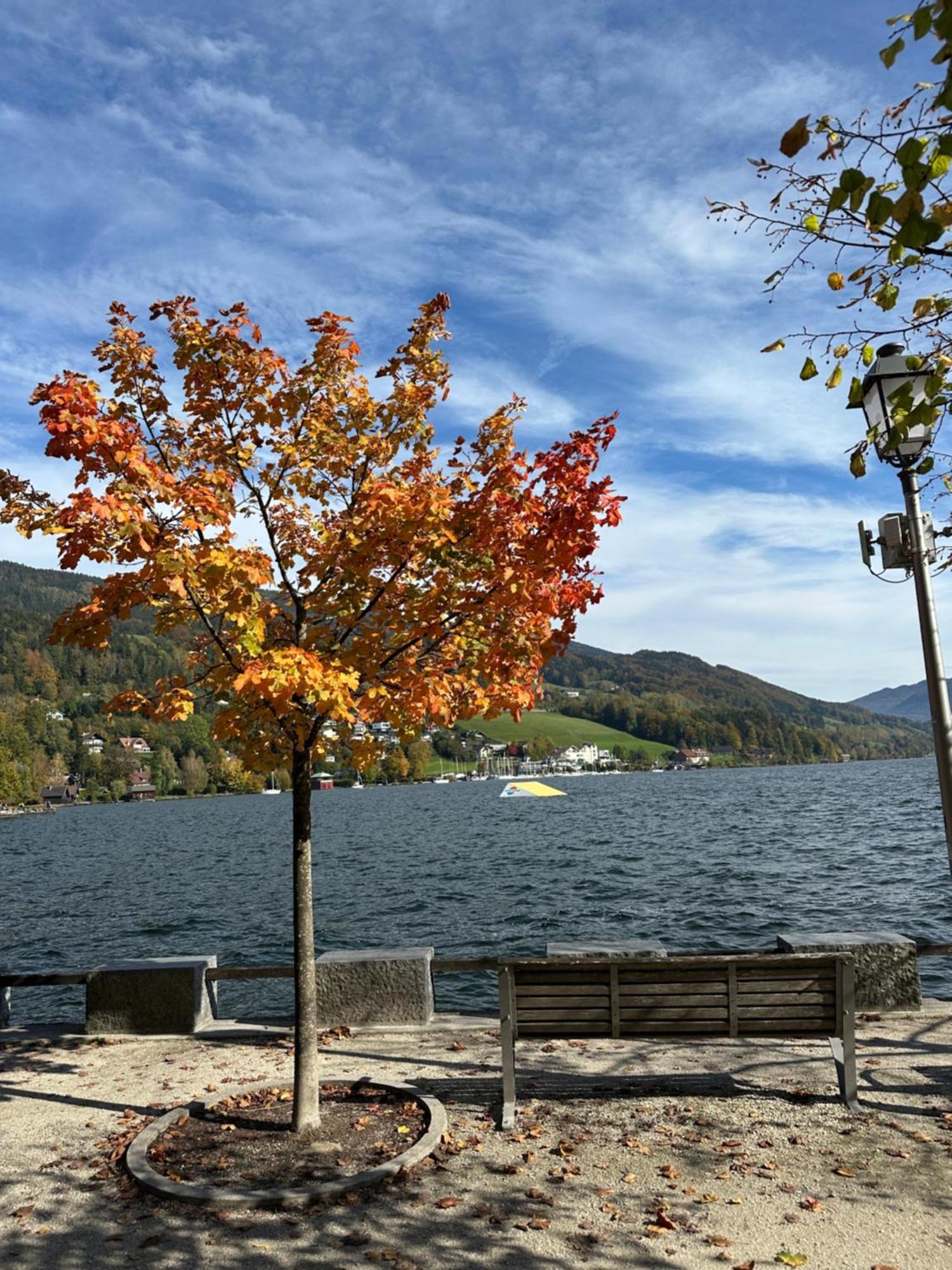 17Er Apartment Mit Sauna Und Privater Garage Mondsee Zewnętrze zdjęcie
